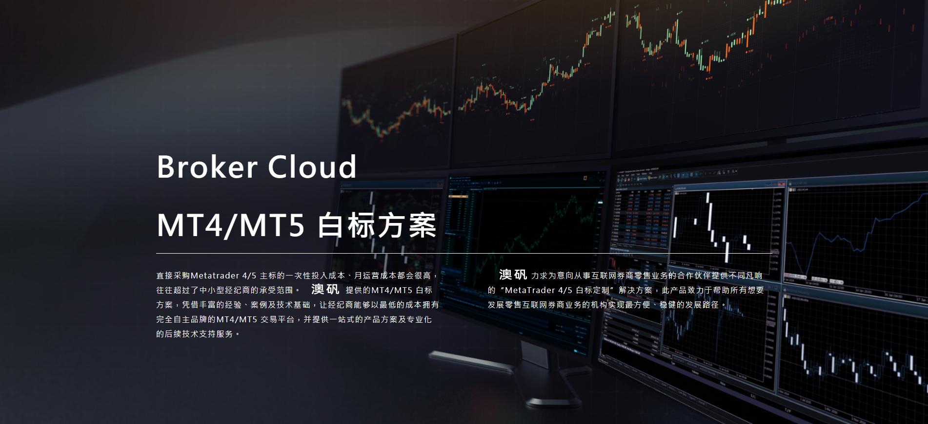 MT4/MT5 白标方案