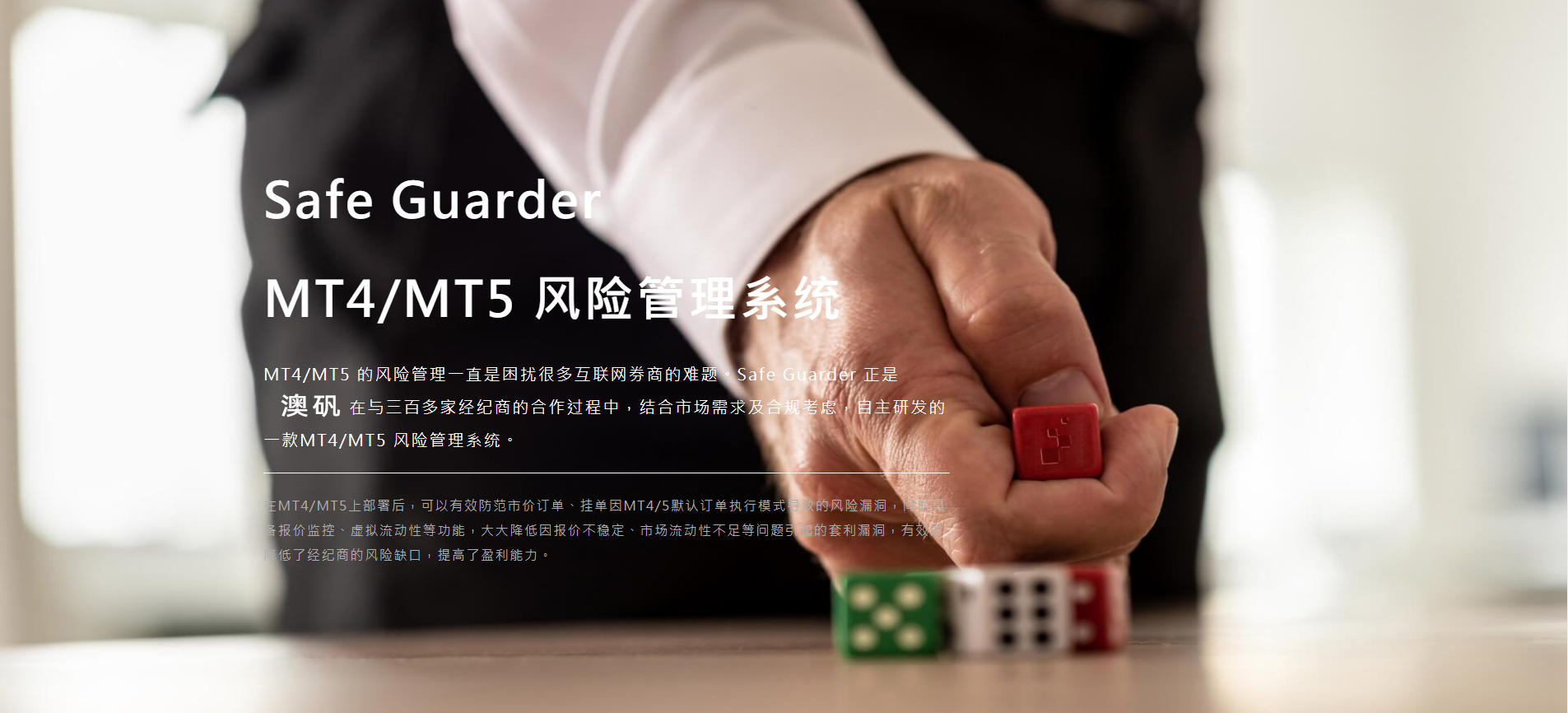 MT4/MT5 风险管理系统